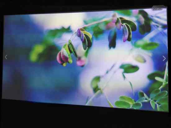 �׉��cĻ��Ͷ�Ů���yԇ����ʲô�^(q��)�e���ķNЧ������